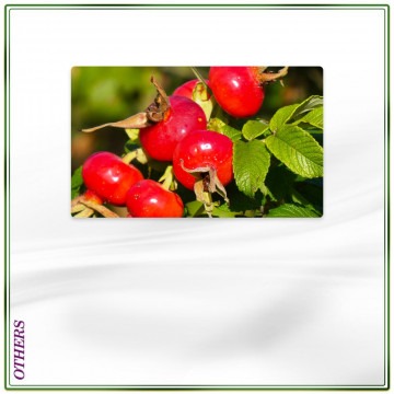 Premium Grade Carrier Oil (Rosehip)