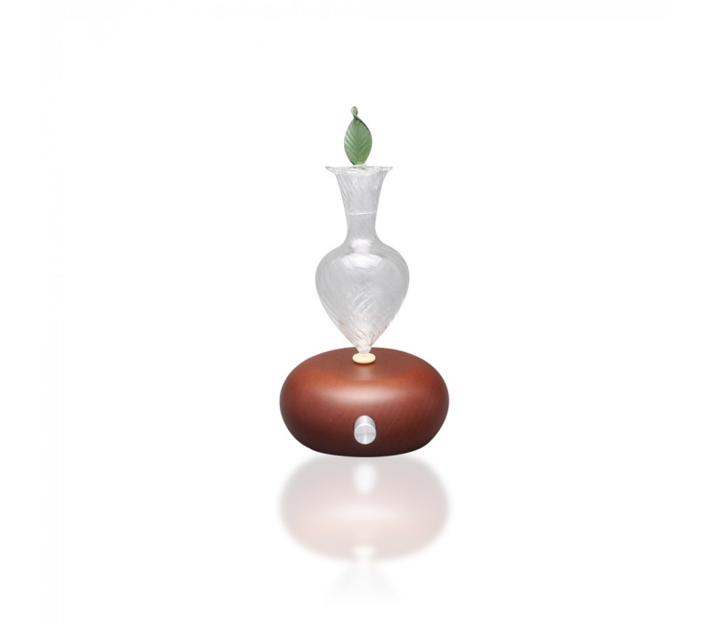 Glass Aroma Diffuser