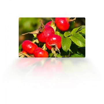 Premium Grade Carrier Oil (Rosehip)