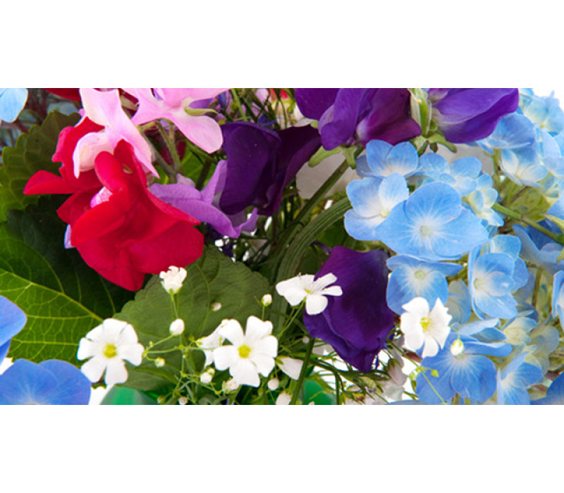 View All Fragrances