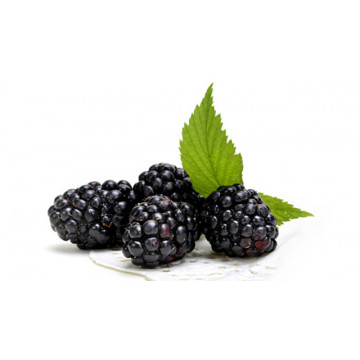 Dewberry