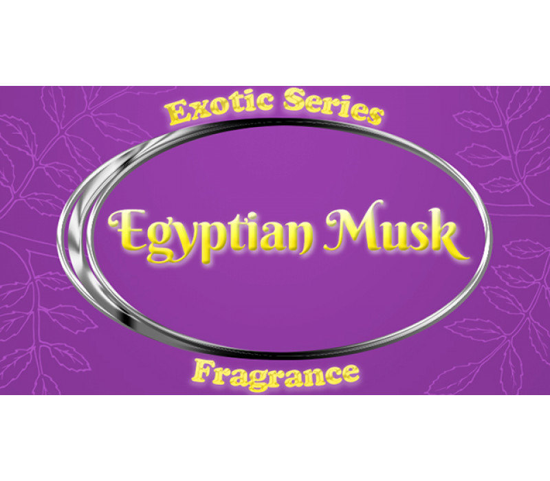 View All Fragrances