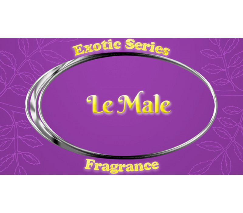 View All Fragrances