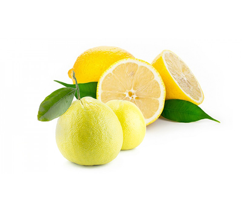 View All Fragrances