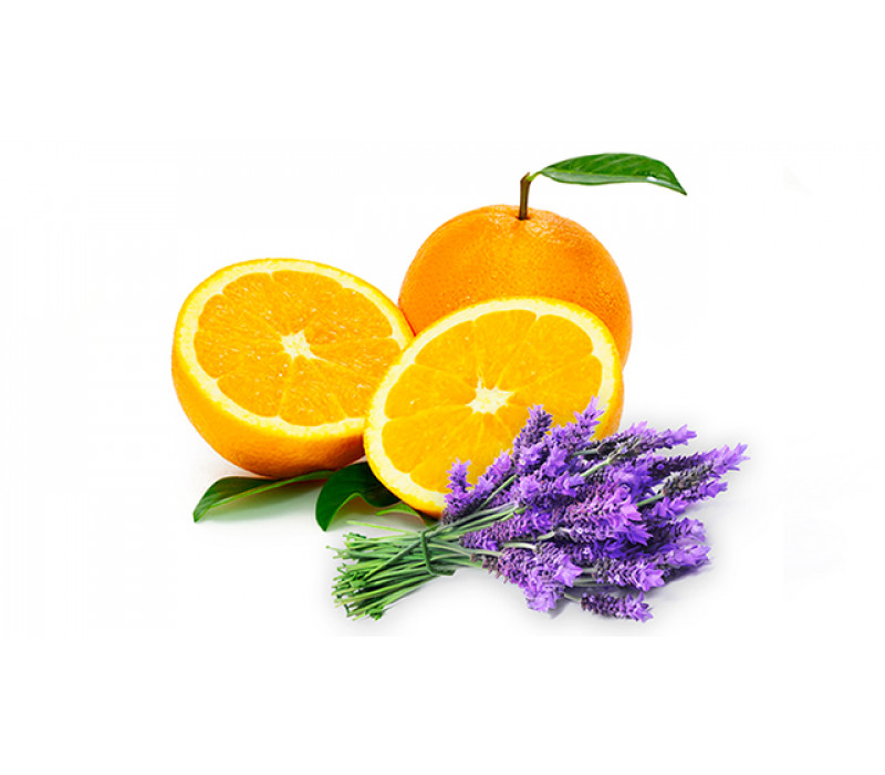 View All Fragrances