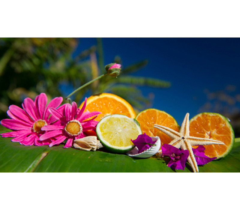 View All Fragrances