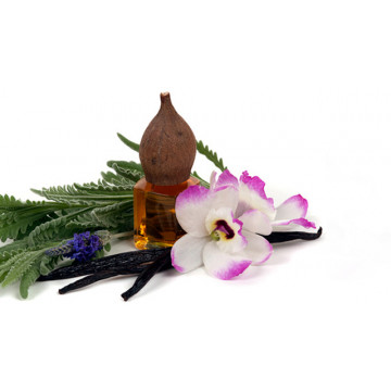 Orchid Vanilla