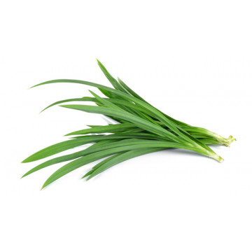 Pandan