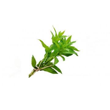 Peppermint