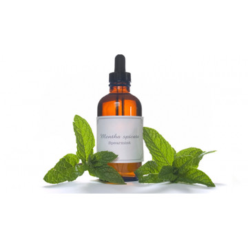 Spearmint