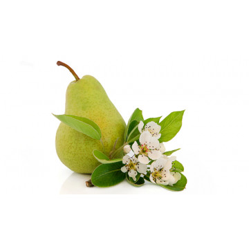 Williams Pear & Freesia