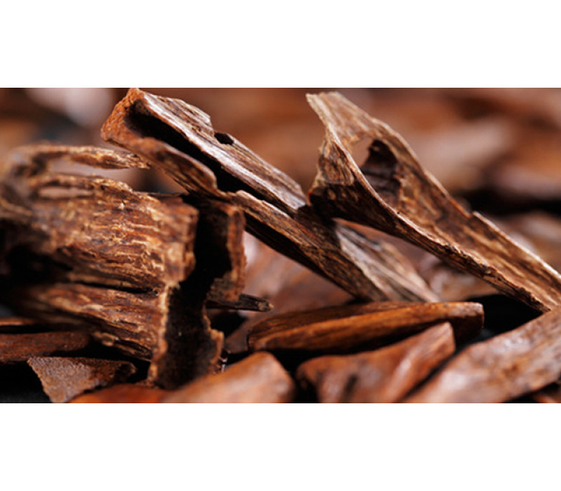 _Agarwood_