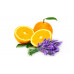 _Lavender Orange_