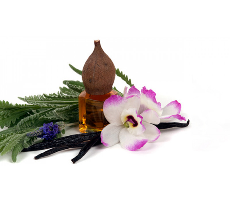 View All Fragrances