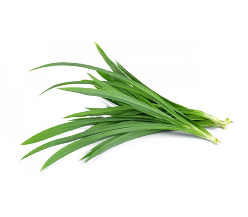 _Pandan_