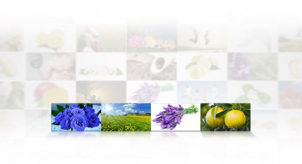 Essential Oils & Special Blends