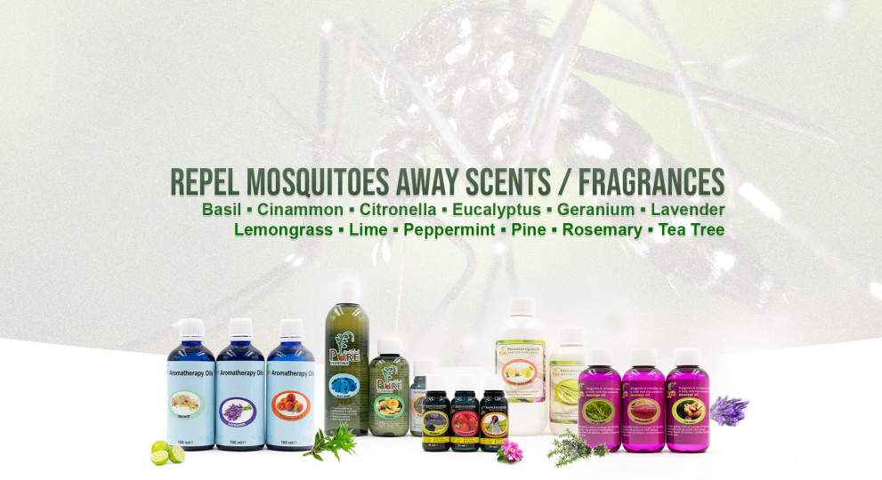 Concern about mosquitoes?