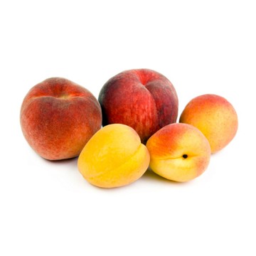 Apricot Peach Apricot Peach