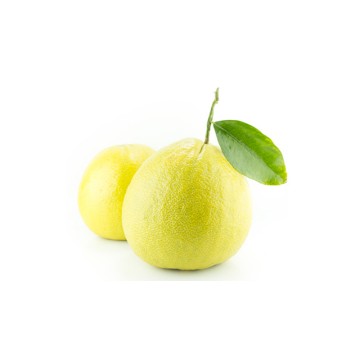 Bergamot Bergamot