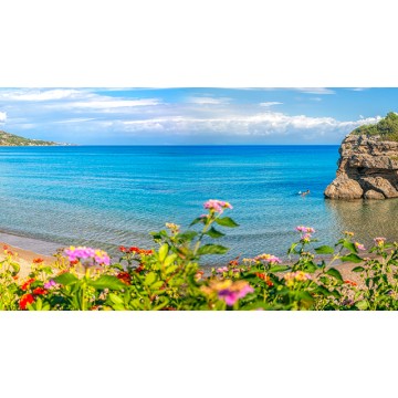 Caribbean Caribbean