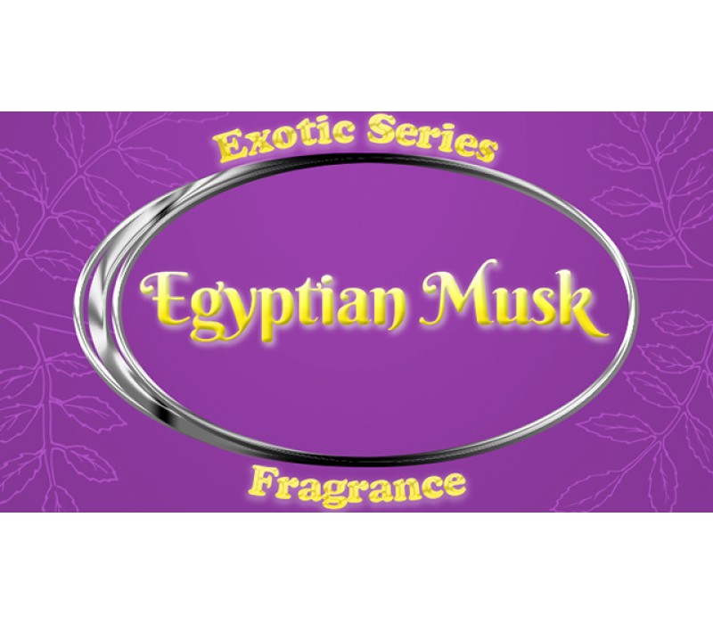 View All Fragrances