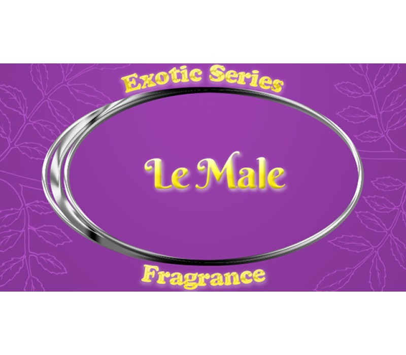 View All Fragrances