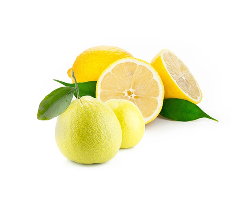 View All Fragrances