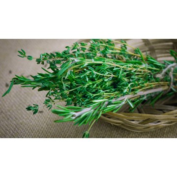 Rosemary & Thyme