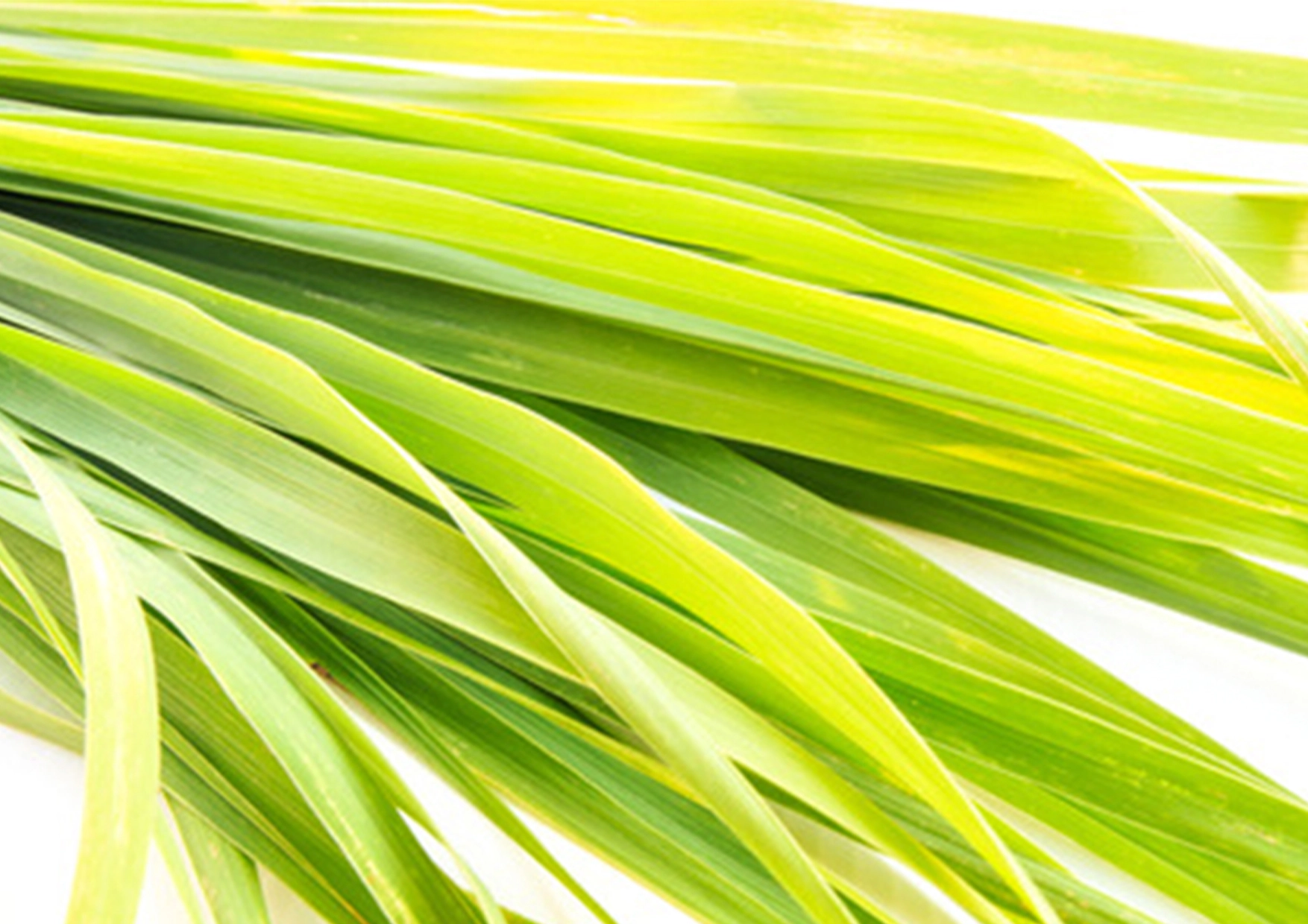 Pure™ Aromatherapy Handmade Soap Lemongrass Fragrance / Scent