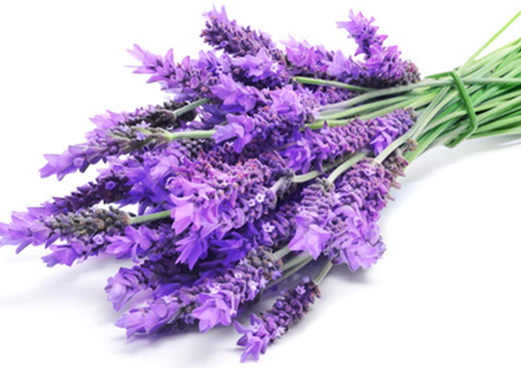 Pure™ Aromatherapy Handmade Soap Lavender Fragrance / Scent