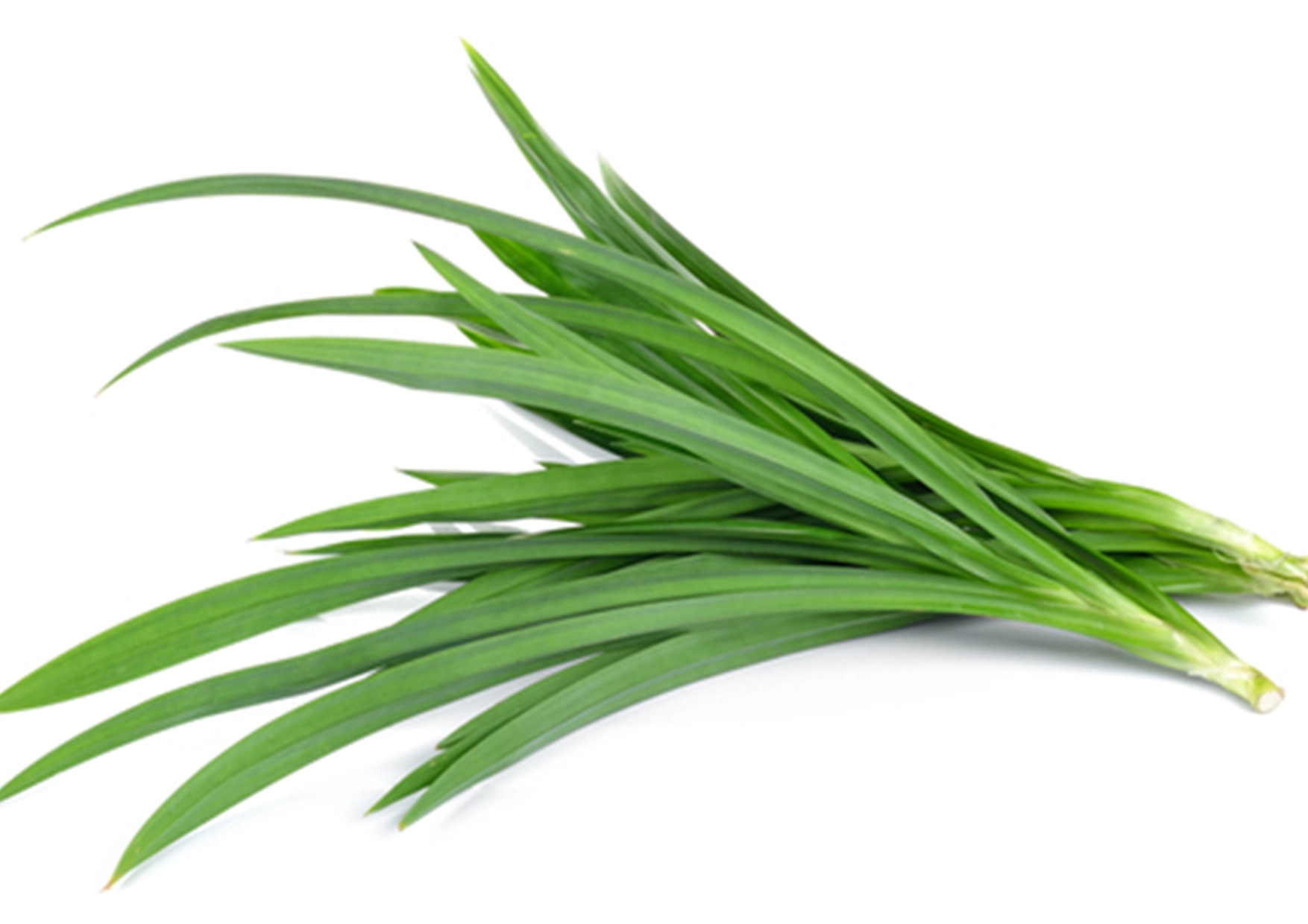 Pure™ Aromatherapy Handmade Soap Pandan Fragrance / Scent