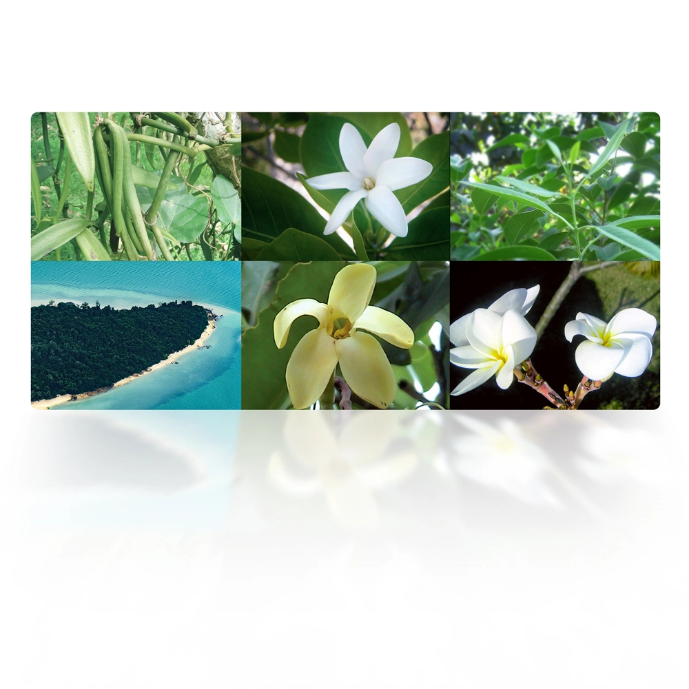 category