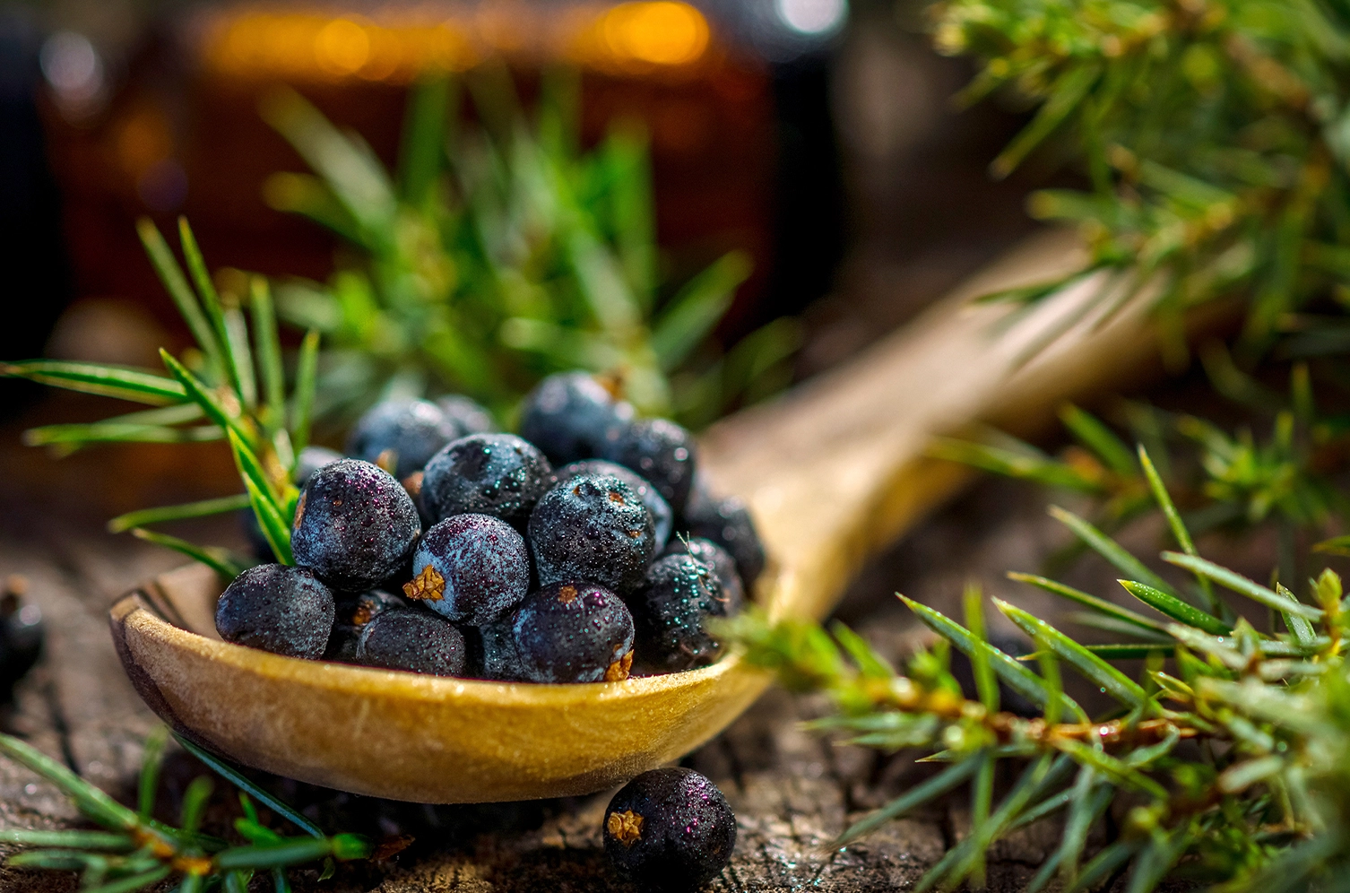 Certified Organic Pure Essential Oil - Juniper Berry (Juniperus communis)