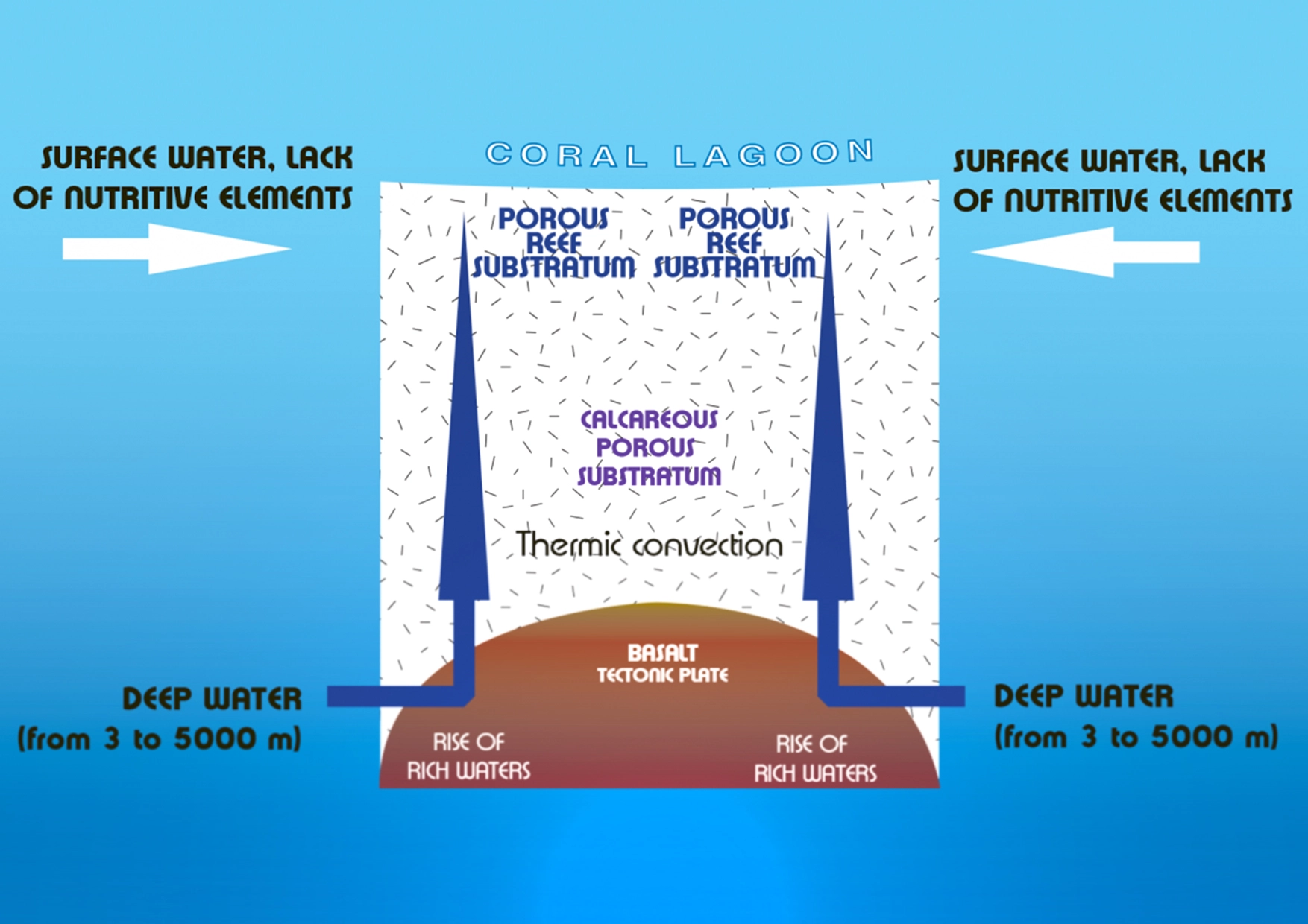 Main Composition of Hydro-distillates