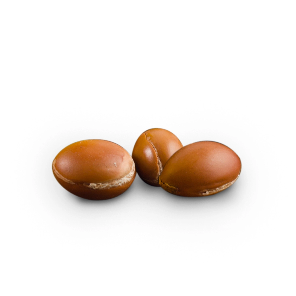 Premium Grade Carrier Oil - Argan Family