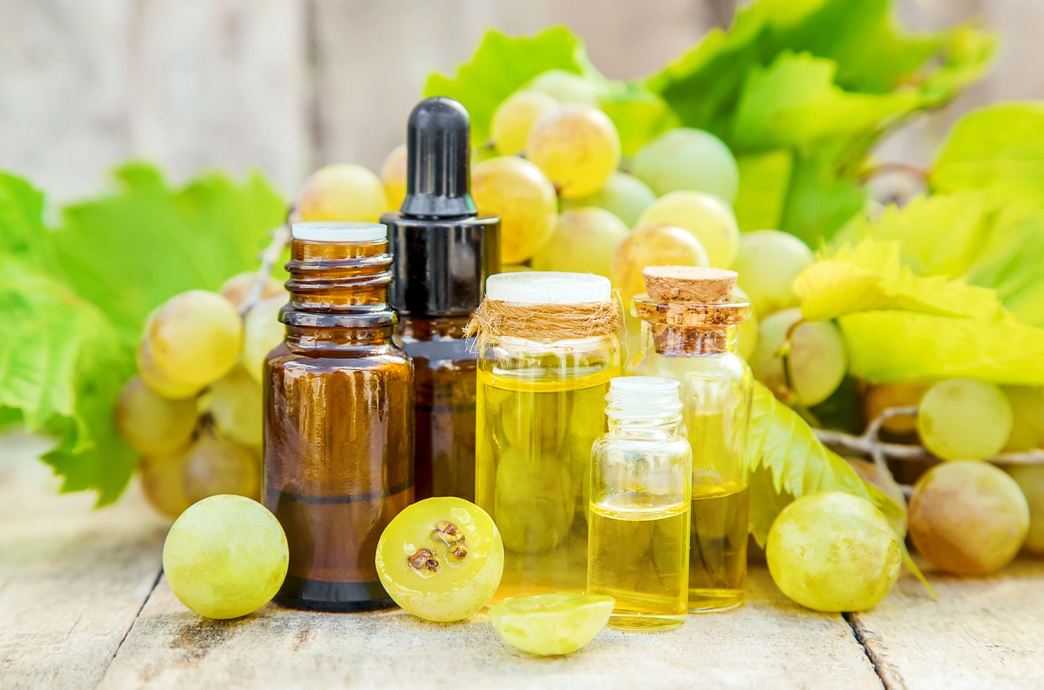 Premium Grade Carrier Oil - Grape Seed (Persea gratissima)